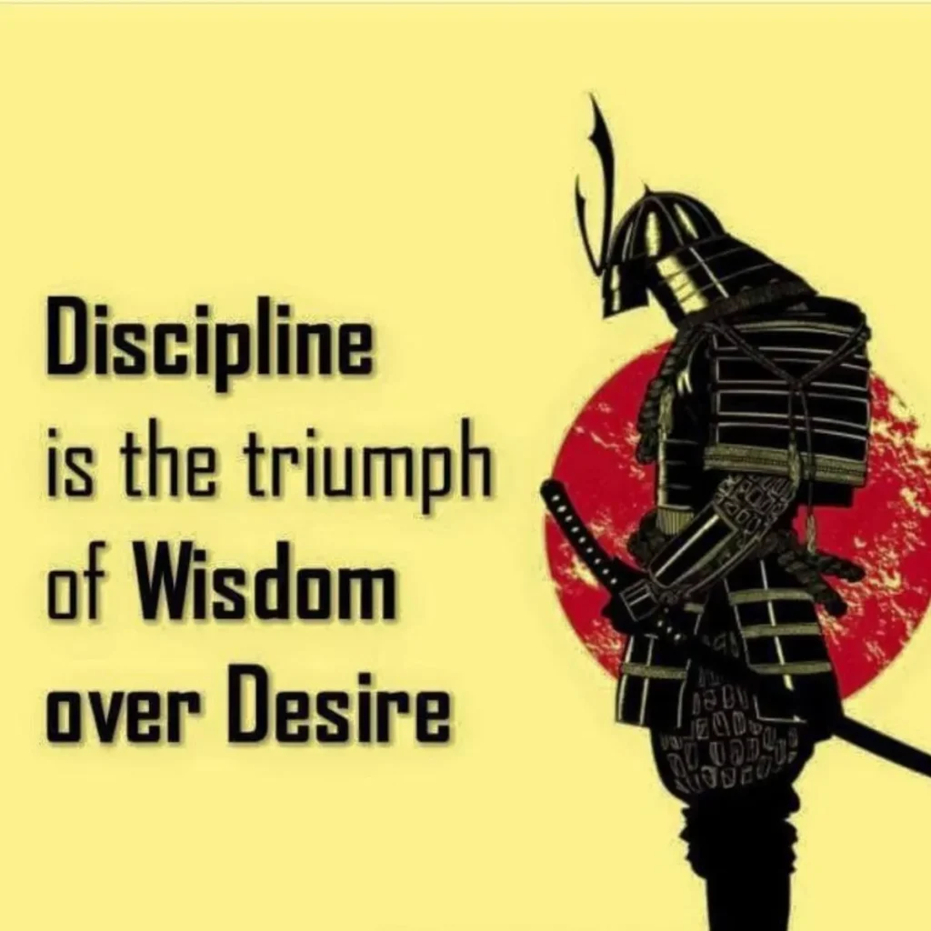 Great Quotes About Discipline