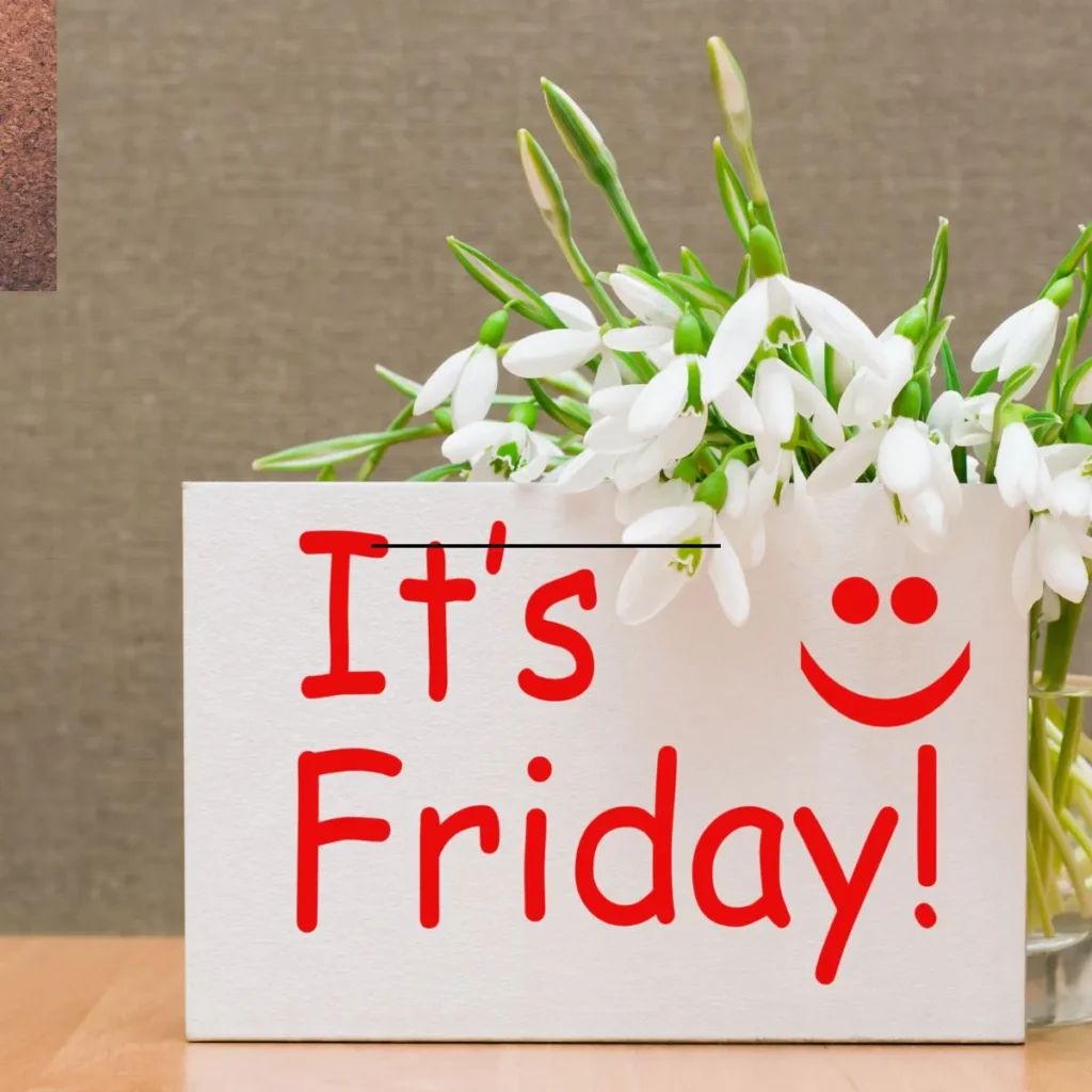 Positive Friday Quotes Funny