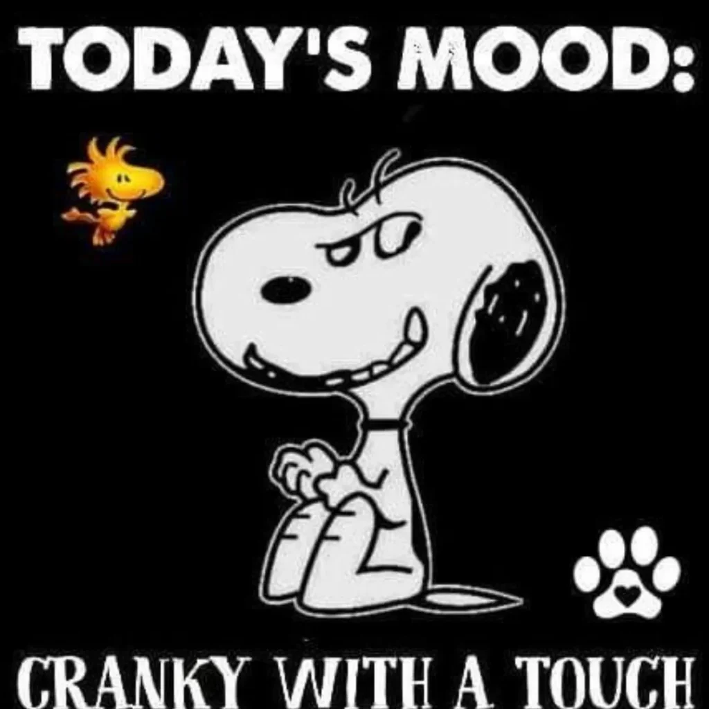 Snoopy Quotes Funny