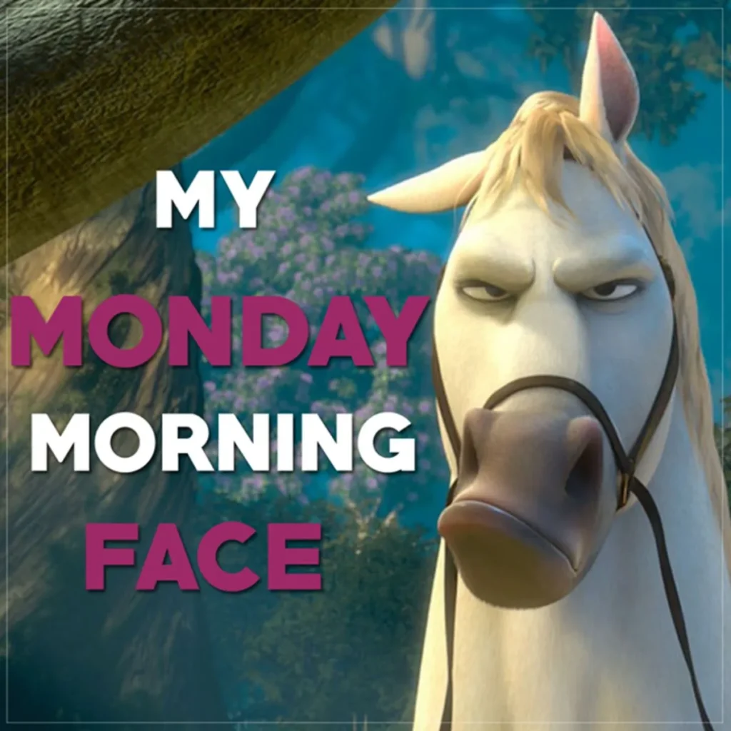 Jokes Funny Good Morning Quotes