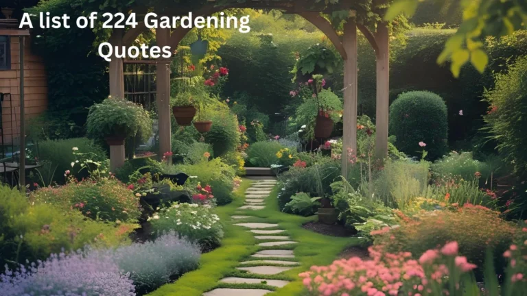 Gardening Quotes