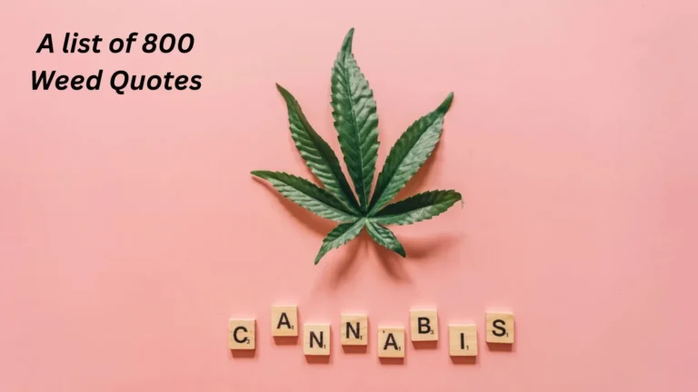 Weed Quotes