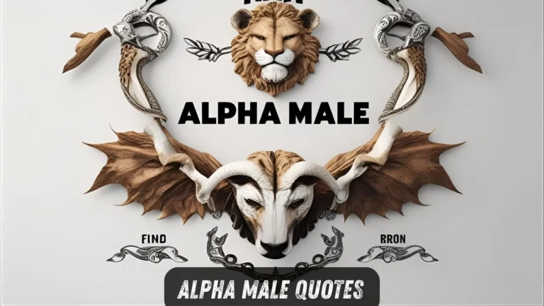Alpha Male Quotes